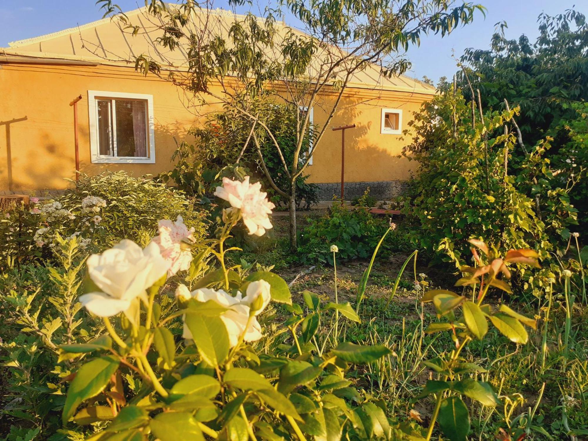 Sion In Ulmu Apartment Exterior photo