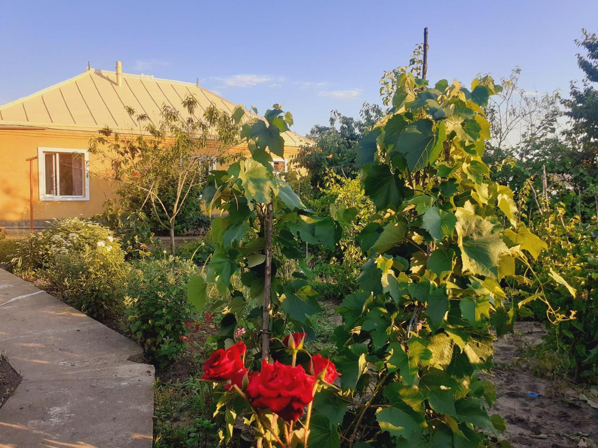Sion In Ulmu Apartment Exterior photo